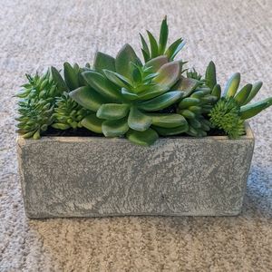 Succulent planter